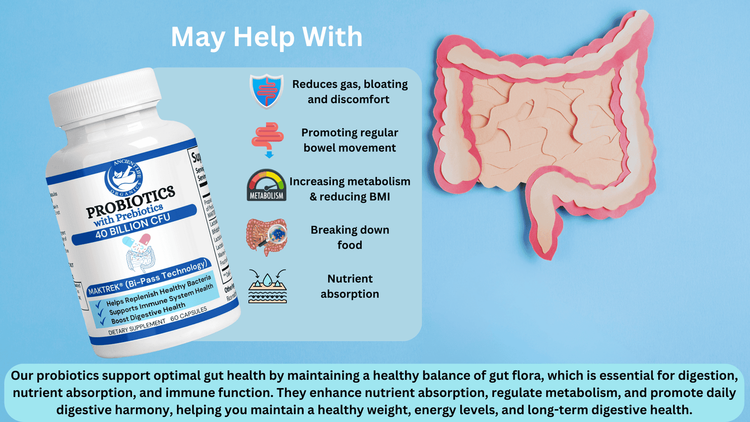 Probiotic 40 Billion with Prebiotics